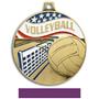 Hasty Awards Americana Volleyball Medals M-750