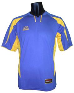 289-ROYAL/GOLD