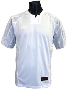 6-WHITE