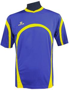 289-ROYAL/GOLD