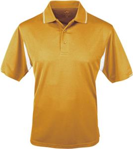 GOLD/WHITE