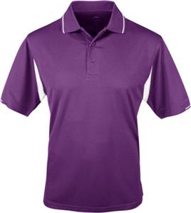 PURPLE/WHITE