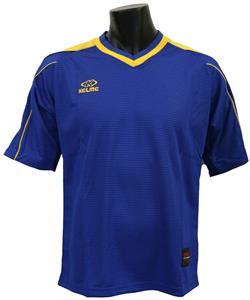 289 - ROYAL/GOLD