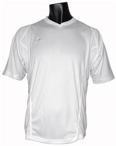 6-WHITE