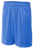 A4 Adult Coach's Mesh Shorts