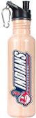 MLB Indians 26oz Baseball Bat Water Bottle
