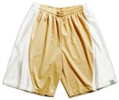 A4 Adult Mesh/Dazzle 9" Inseam Basketball Shorts A4 Adult Mesh/Dazzle 9" Inseam Basketball Shorts