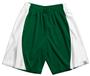 A4 Adult Mesh/Dazzle 9" Inseam Basketball Shorts