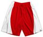 A4 Adult Mesh/Dazzle 9" Inseam Basketball Shorts