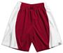 A4 Adult Mesh/Dazzle 9" Inseam Basketball Shorts
