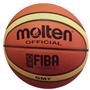 Molten Indoor/Outdoor FIBA Leather Basketballs