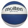 Molten Recreational Rubber Basketballs (7 colors)