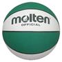 Molten Recreational Rubber Basketballs (7 colors)
