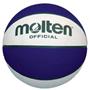 Molten Recreational Rubber Basketballs (7 colors)