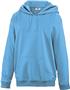 Teamwork Adult/Youth Laguna Performance Hoodie
