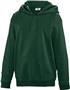 Teamwork Adult/Youth Laguna Performance Hoodie