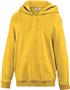 Teamwork Adult/Youth Laguna Performance Hoodie
