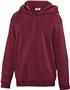 Teamwork Adult/Youth Laguna Performance Hoodie