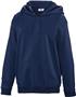 Teamwork Adult/Youth Laguna Performance Hoodie