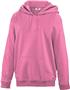 Teamwork Adult/Youth Laguna Performance Hoodie