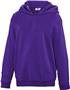 Teamwork Adult/Youth Laguna Performance Hoodie