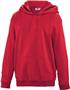 Teamwork Adult/Youth Laguna Performance Hoodie