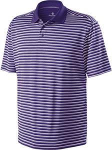 PURPLE/WHITE