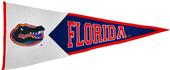Winning Streak NCAA Florida Classic Pennant