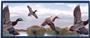 Illumalite Designs Ducks Wall Plaque