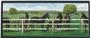 Illumalite Designs Saddle Up Wall Plaque