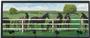 Illumalite Designs Saddle Up Wall Plaque