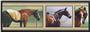 Illumalite Designs Horse Snapshots Wall Plaque