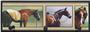 Illumalite Designs Horse Snapshots Wall Plaque