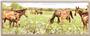 Illumalite Designs Peaceful Horses Wall Plaque