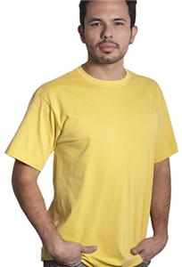 MAIZE