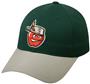 MINOR LEAGUE Fort Wayne TinCaps Baseball Cap