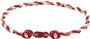 Eagles Wings NCAA Oklahoma Titanium Twist Necklace
