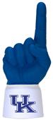 Foam Finger University of Kentucky Combo