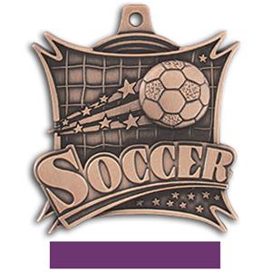 BRONZE MEDAL/PURPLE RIBBON