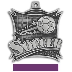 SILVER MEDAL/PURPLE RIBBON