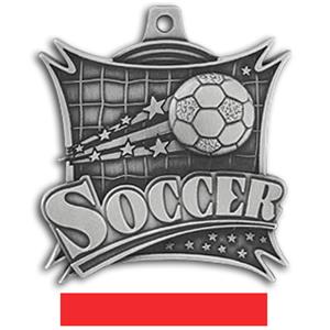 SILVER MEDAL/RED RIBBON