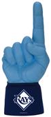 Foam Finger MLB Tampa Bay Rays Combo