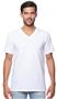 Royal Apparel Mens Organic Short Sleeve V-Neck Tee