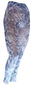 Nouvella Gray Gator Sublimated Footless Tights