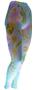 Nouvella Womens Maui Sublimated Footless Tights