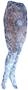 Nouvella Womens Gray Gator Sublimated Tights