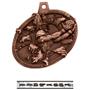 Hasty Awards Bust Out 3D Football Medal M-755F
