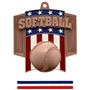 Hasty Awards Patriot Softball Medal M-776O