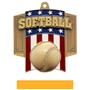 Hasty Awards Patriot Softball Medal M-776O