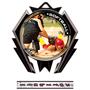 Hasty Awards Stealth Softball P.R.2 Medal M-5200O